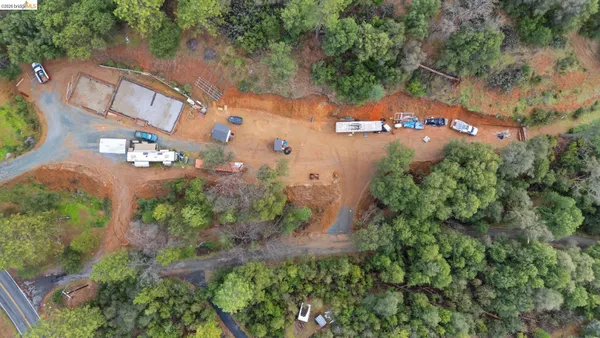 a view of a forest with a mountain and trees