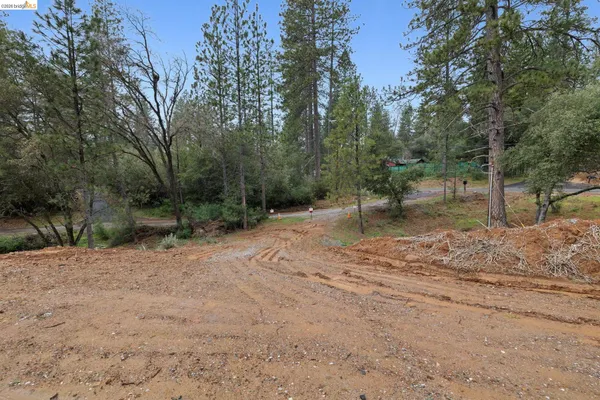 a view of a dirt road with trees in the background