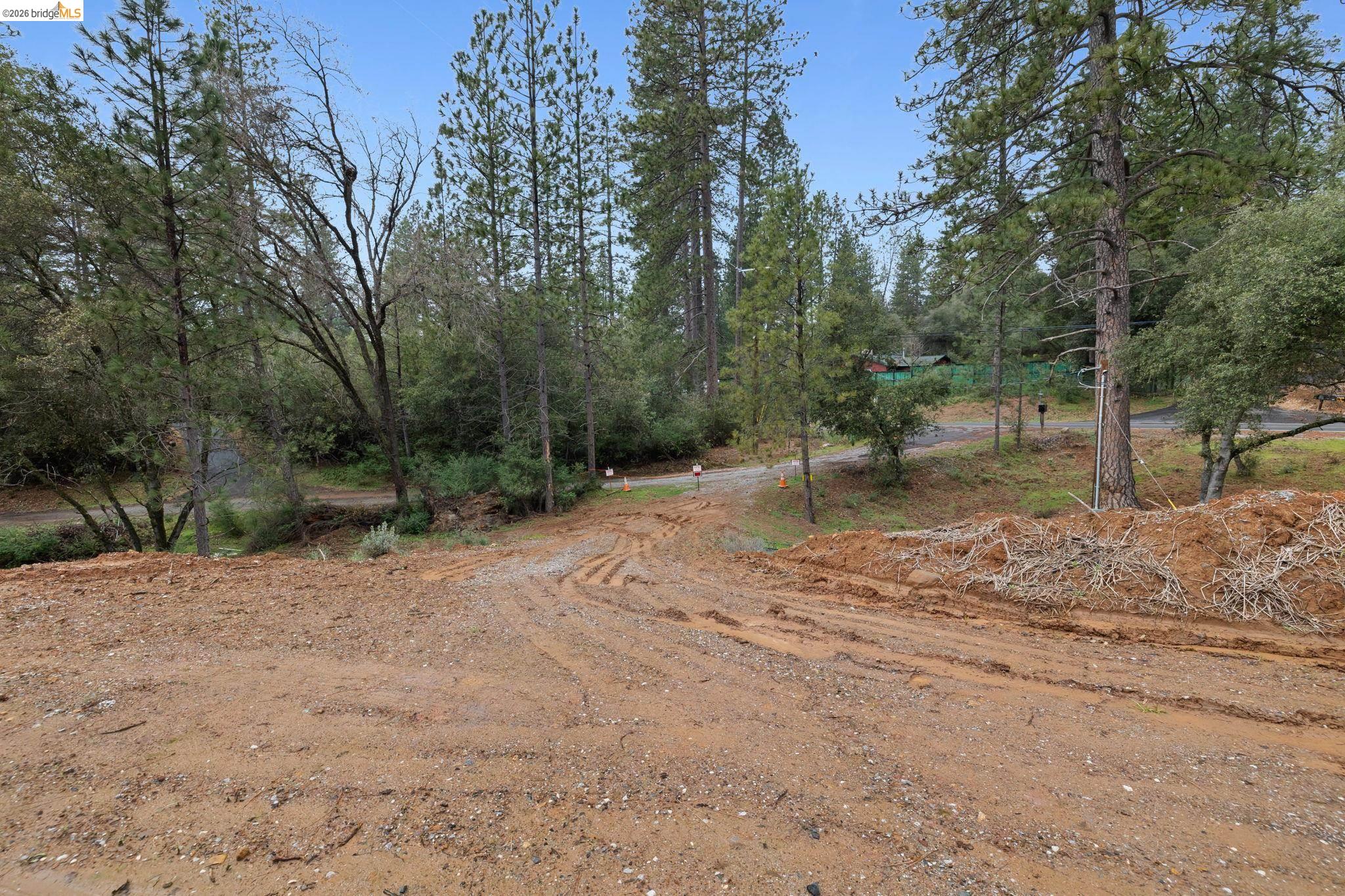 21901 Sawmill Flat Road Sonora, CA 95370 - Photo 3 of 24 a view of a dirt road with trees in the background