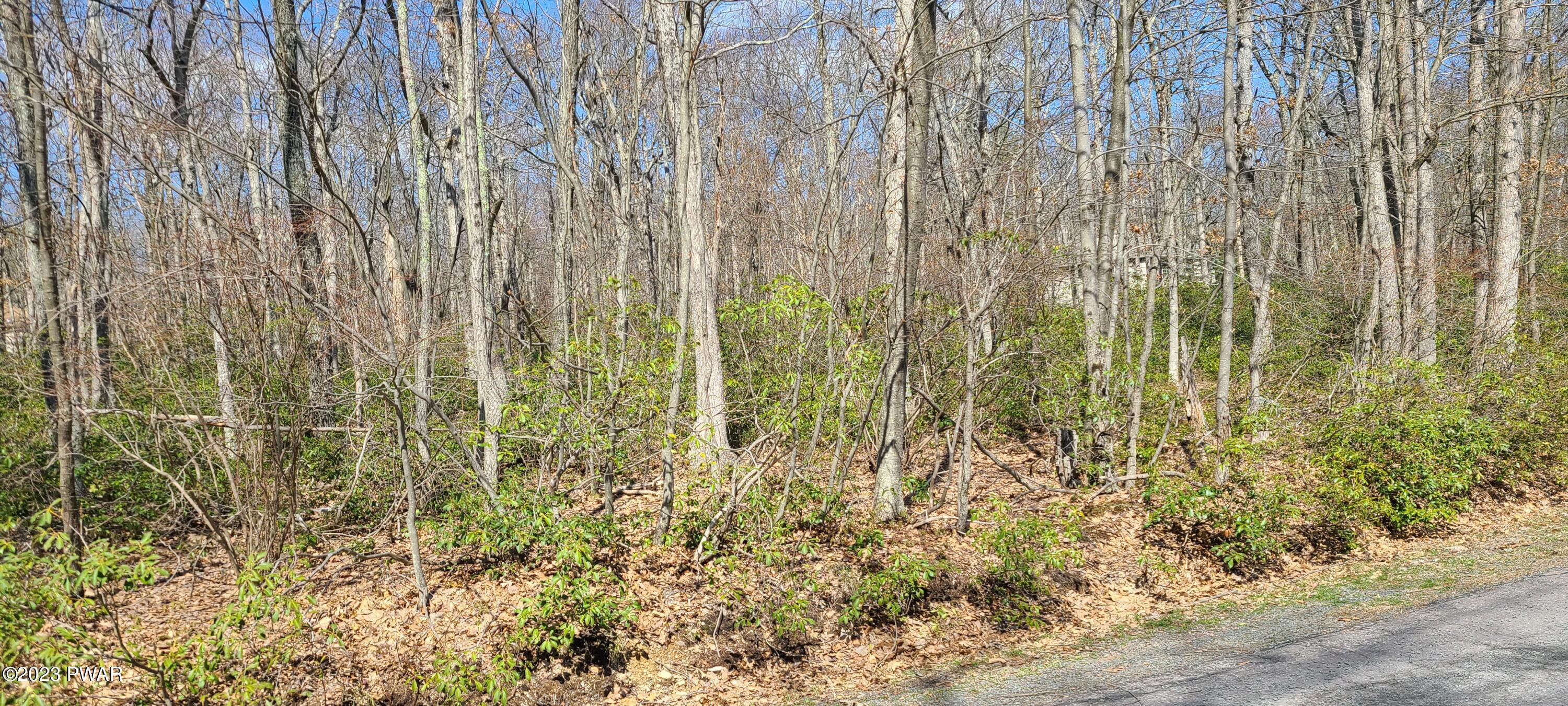 1207 Hay Road Dingmans Ferry, PA 18328 - Photo 3 of 11