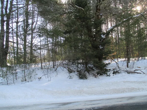 $110,000 | 795-lot #2 795-lot Road, Poland, ME 04274