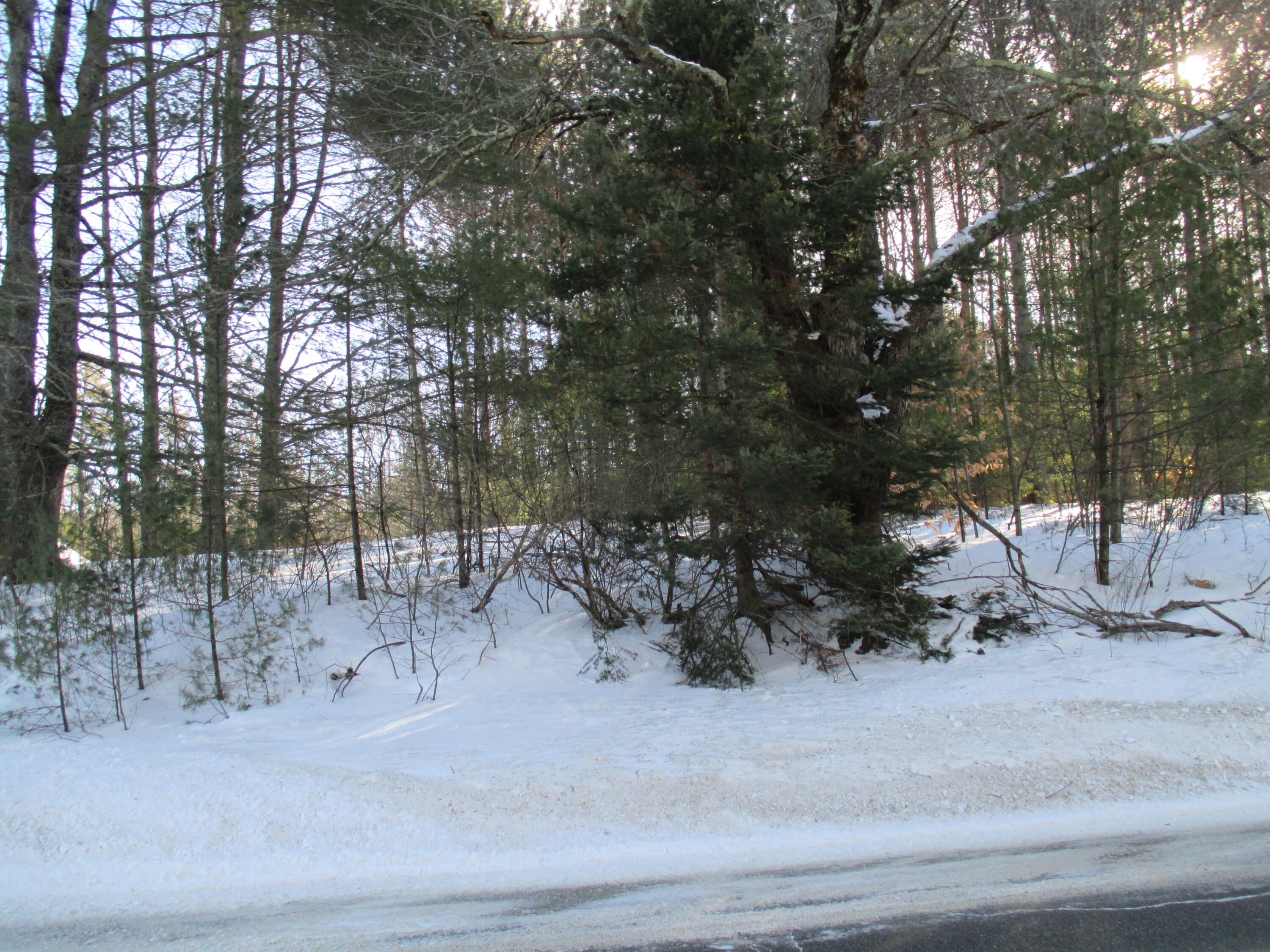 795-lot #2 795-lot Road Poland, ME 04274 - Photo 2 of 2 IMG_0086