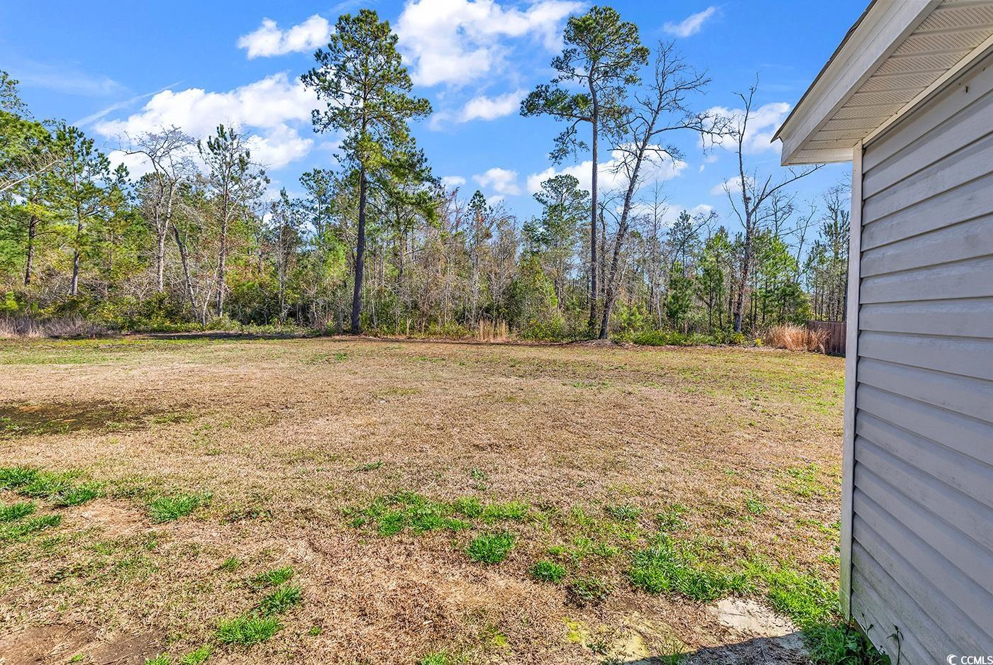 249 Rosedale Drive Aynor, SC 29511 - Photo 33 of 40