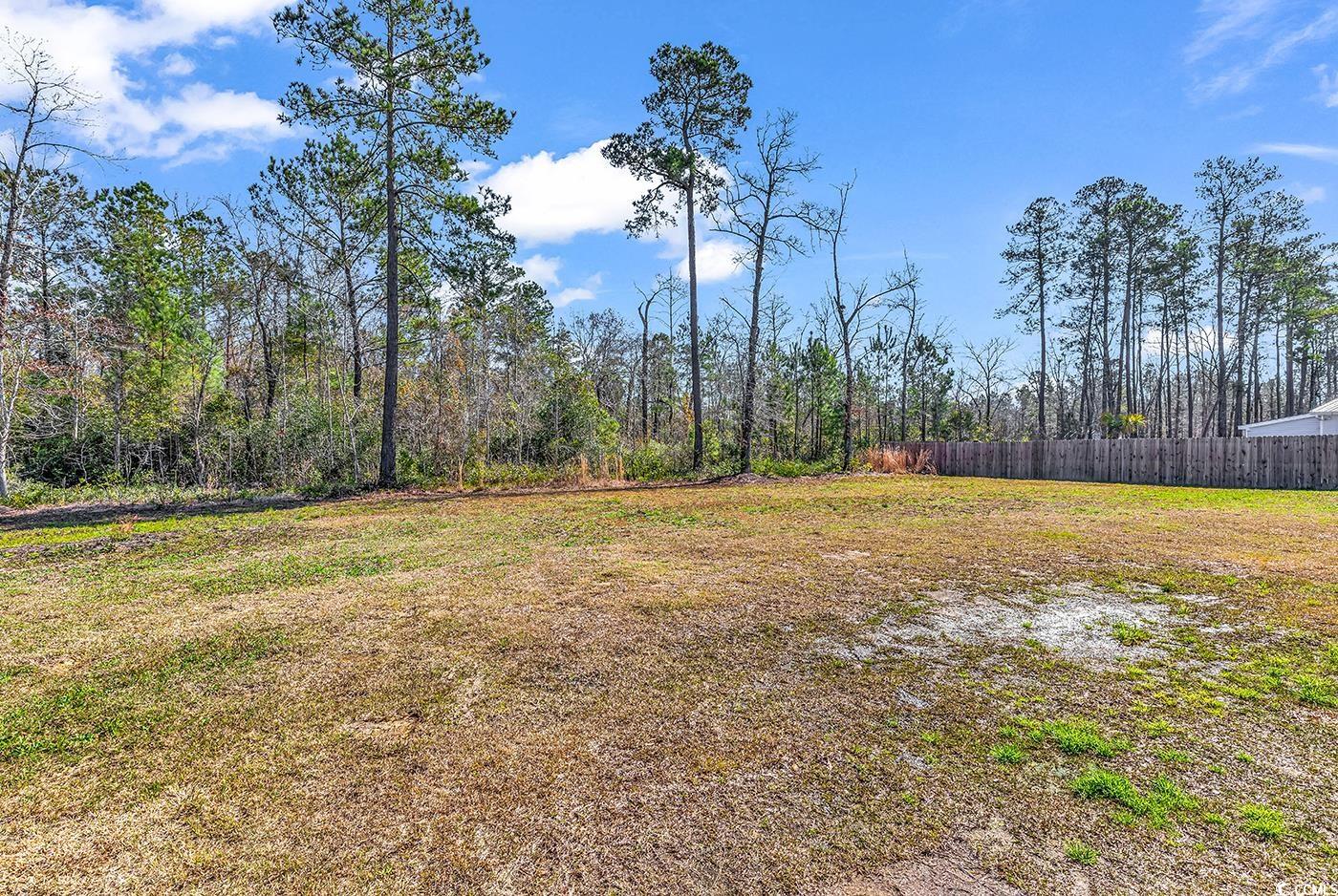 249 Rosedale Drive Aynor, SC 29511 - Photo 36 of 40