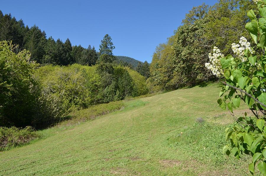 1455 Holton Road Talent, OR 97540 - Photo 5 of 25 holton 6