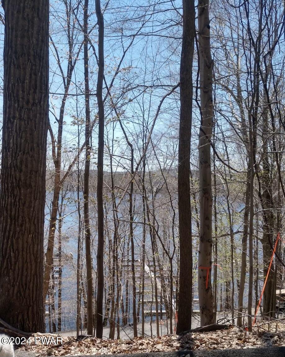 4 Boat House Road Lake Ariel, PA 18436 - Photo 2 of 13
