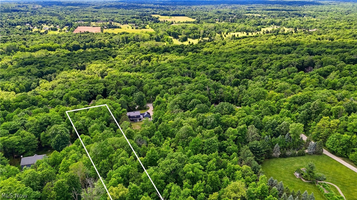 333 River Road Hinckley, OH 44233 - Photo 2 of 5 Expansive wooded lot with existing tree cover