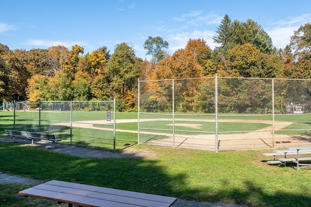 20 Colburn Road Wellesley, MA 02481 - Photo 31 of 31 a view of a park with a large trees