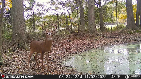 $155,000 | 6423 Highway 184, Royalton, IL 62983