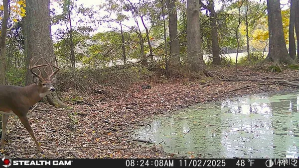 $155,000 | 6423 Highway 184, Royalton, IL 62983