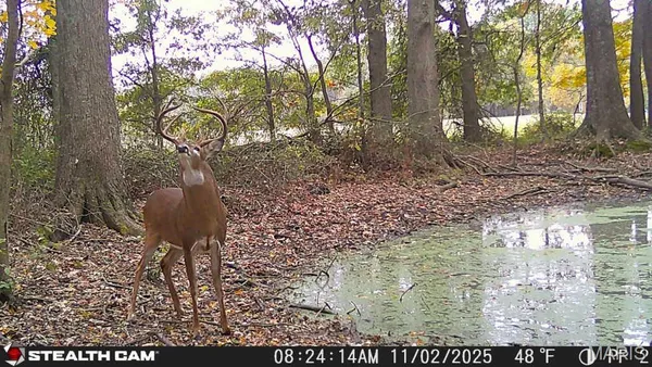 $155,000 | 6423 Highway 184, Royalton, IL 62983