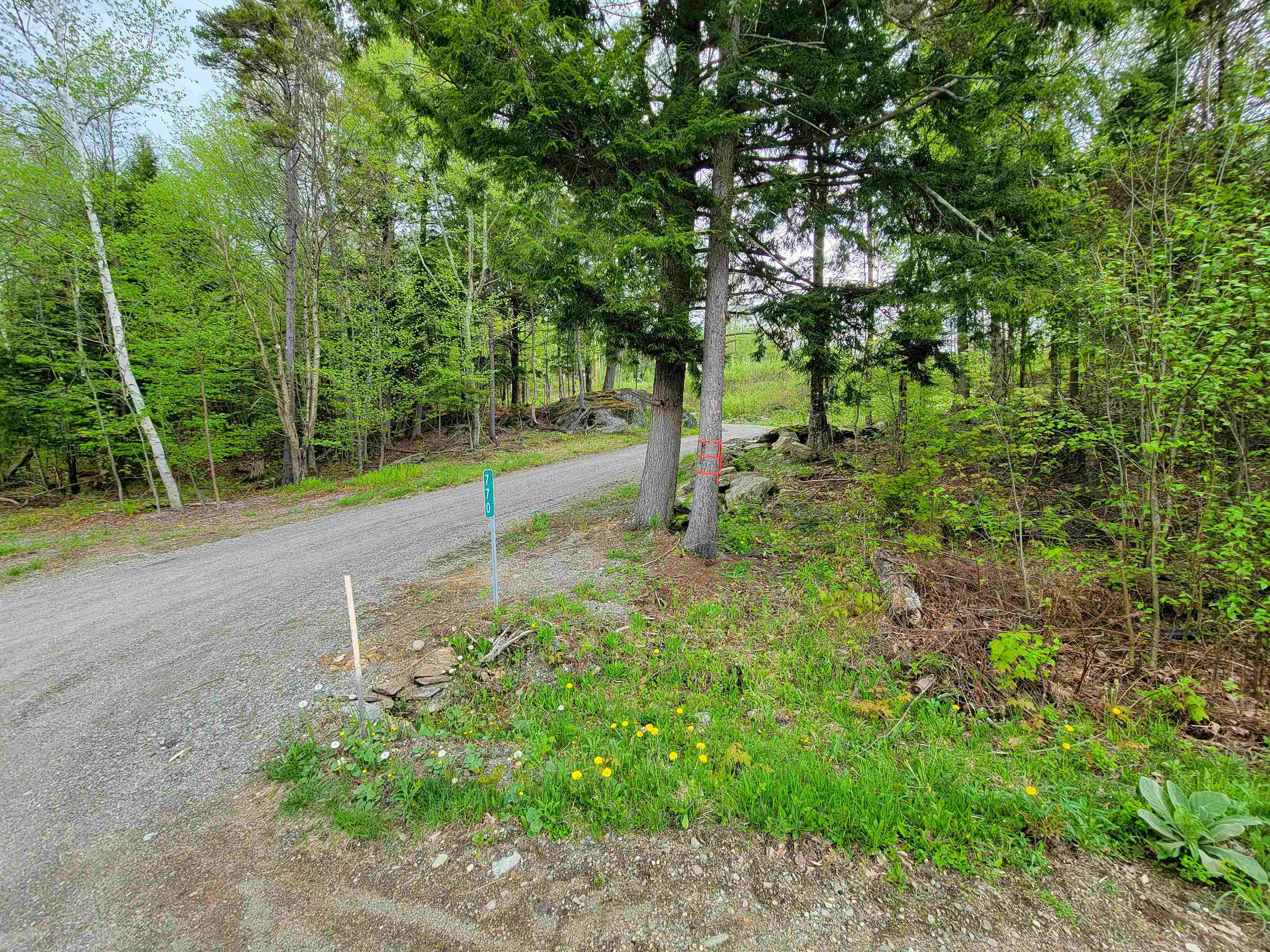 720 Brookview Lane Wolcott, VT 05680 - Photo 17 of 48