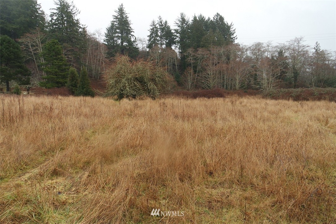 -xxx Pollari Road Raymond, WA 98577 - Photo 1 of 22 Gallery Image 1