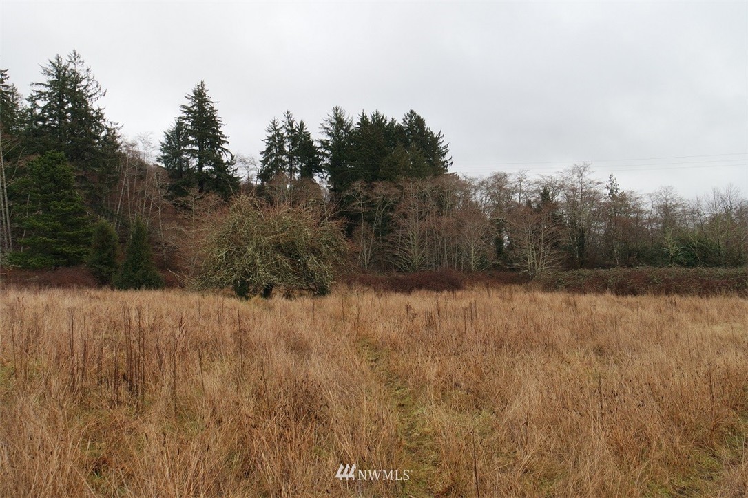 -xxx Pollari Road Raymond, WA 98577 - Photo 2 of 22 Gallery Image 2