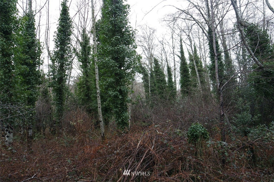 -xxx Pollari Road Raymond, WA 98577 - Photo 13 of 22 Gallery Image 13