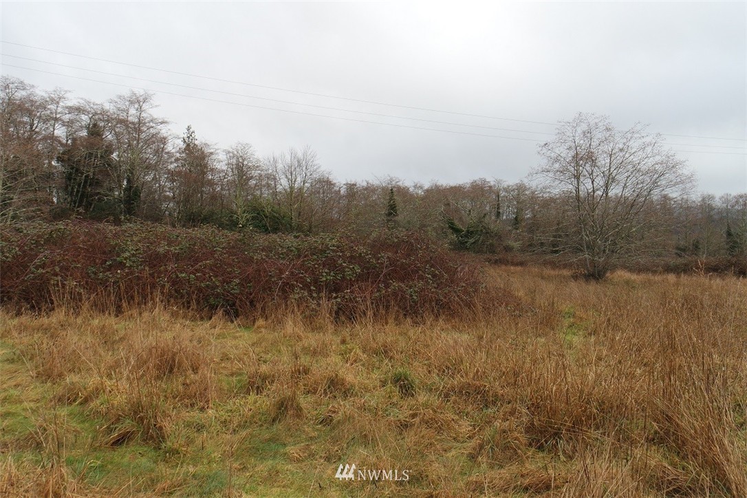 -xxx Pollari Road Raymond, WA 98577 - Photo 14 of 22 Gallery Image 14
