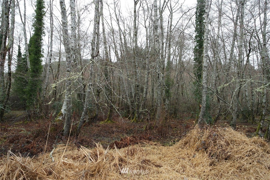 -xxx Pollari Road Raymond, WA 98577 - Photo 15 of 22 Gallery Image 15