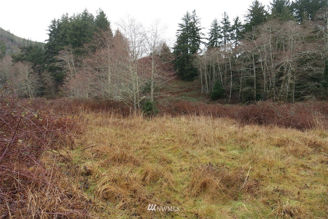 -xxx Pollari Road Raymond, WA 98577 - Photo 16 of 22 Gallery Image 16
