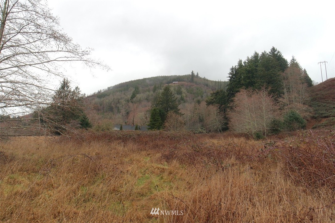 -xxx Pollari Road Raymond, WA 98577 - Photo 17 of 22 Gallery Image 17
