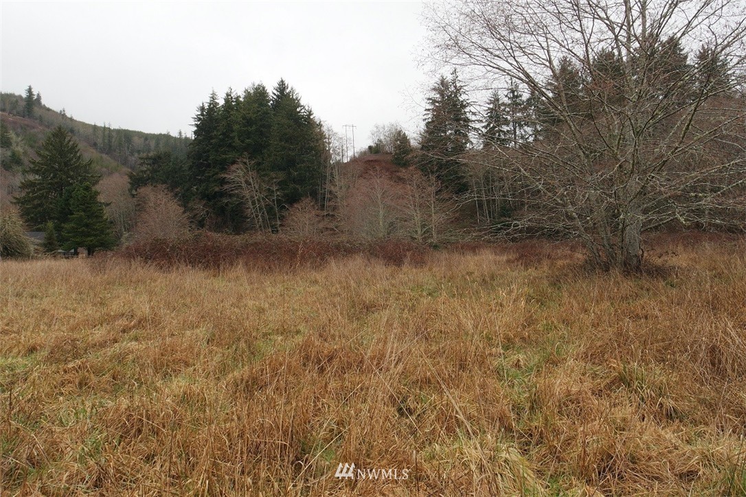 -xxx Pollari Road Raymond, WA 98577 - Photo 3 of 22 Gallery Image 3