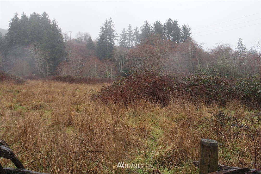 -xxx Pollari Road Raymond, WA 98577 - Photo 21 of 22 Gallery Image 21