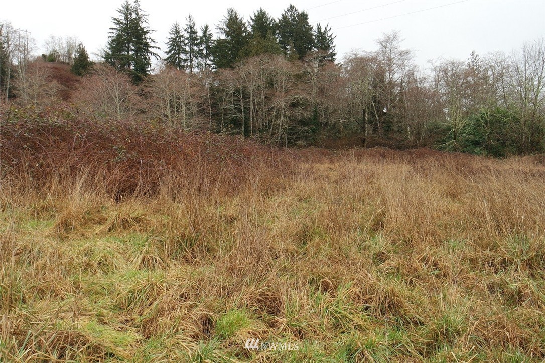 -xxx Pollari Road Raymond, WA 98577 - Photo 22 of 22 Gallery Image 22