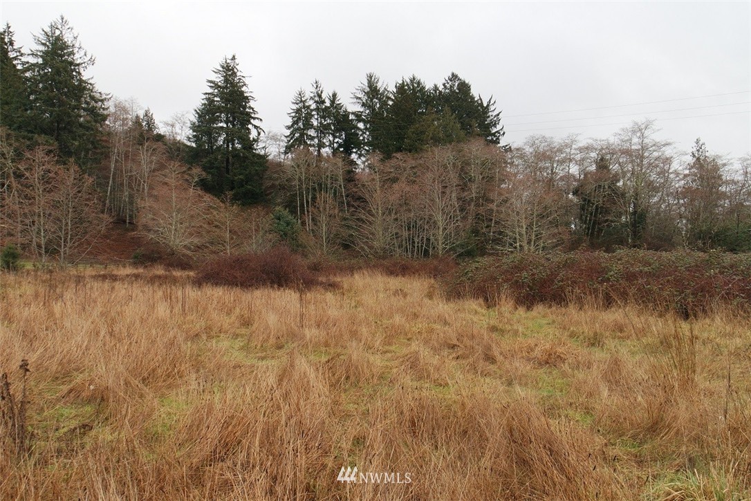 -xxx Pollari Road Raymond, WA 98577 - Photo 6 of 22 Gallery Image 6