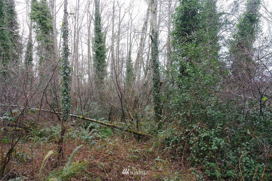 -xxx Pollari Road Raymond, WA 98577 - Photo 7 of 22 Gallery Image 7