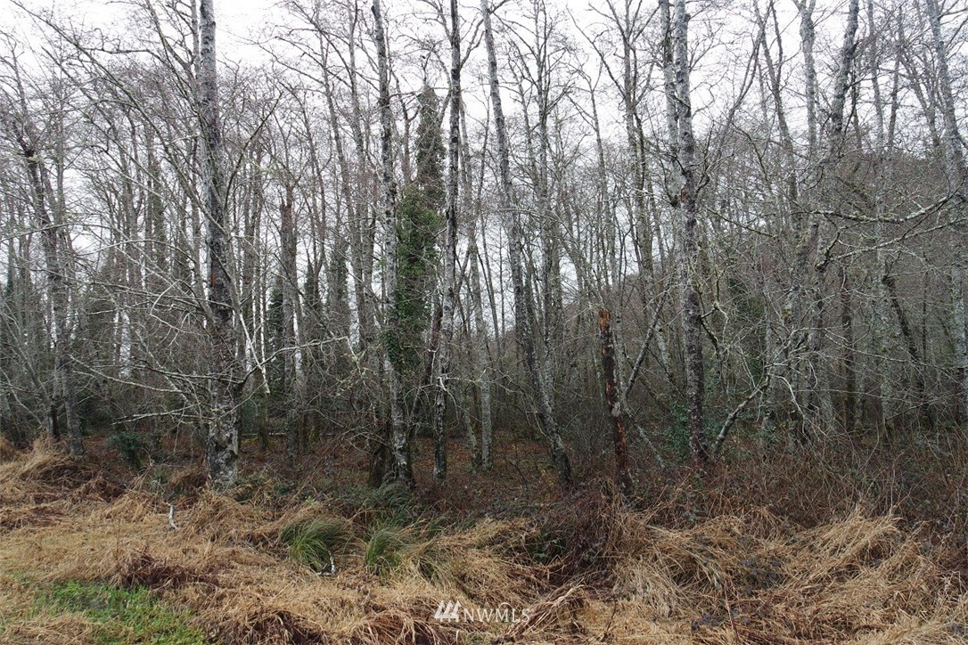 -xxx Pollari Road Raymond, WA 98577 - Photo 10 of 22 Gallery Image 10