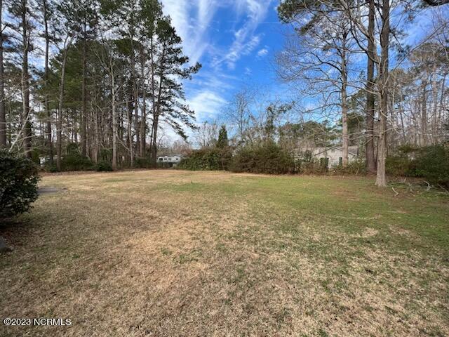 807 Stately Pines Road New Bern, NC 28560 - Photo 13 of 14 Rear Yard