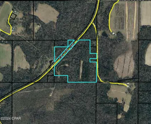 $300,000 | 286 Ne Creek, Grand Ridge, FL 32442