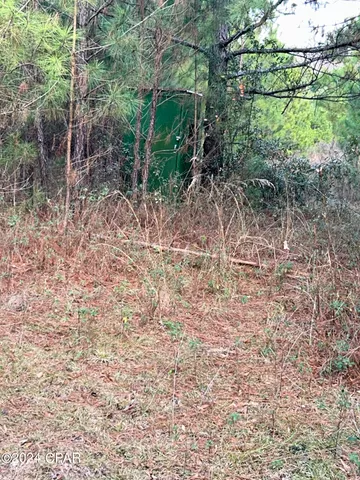 $300,000 | 286 Ne Creek, Grand Ridge, FL 32442