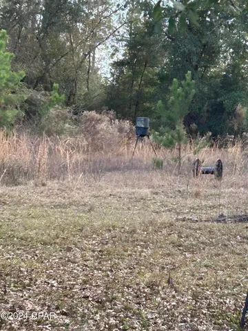 $300,000 | 286 Ne Creek, Grand Ridge, FL 32442