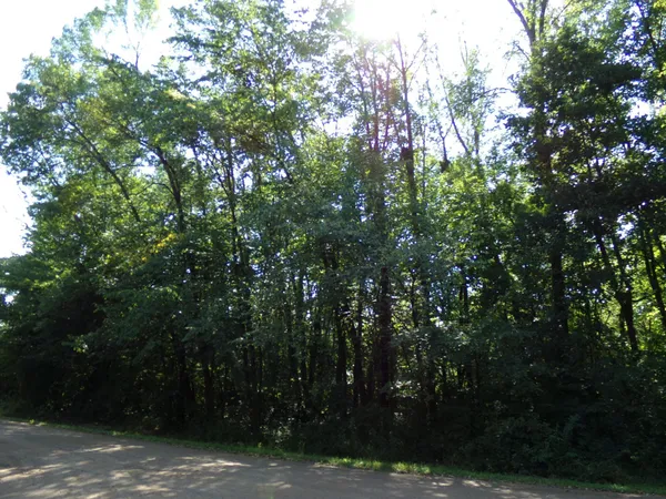 $148,000 | 67-xx Old Sawmill Road, Harris, MN 55032