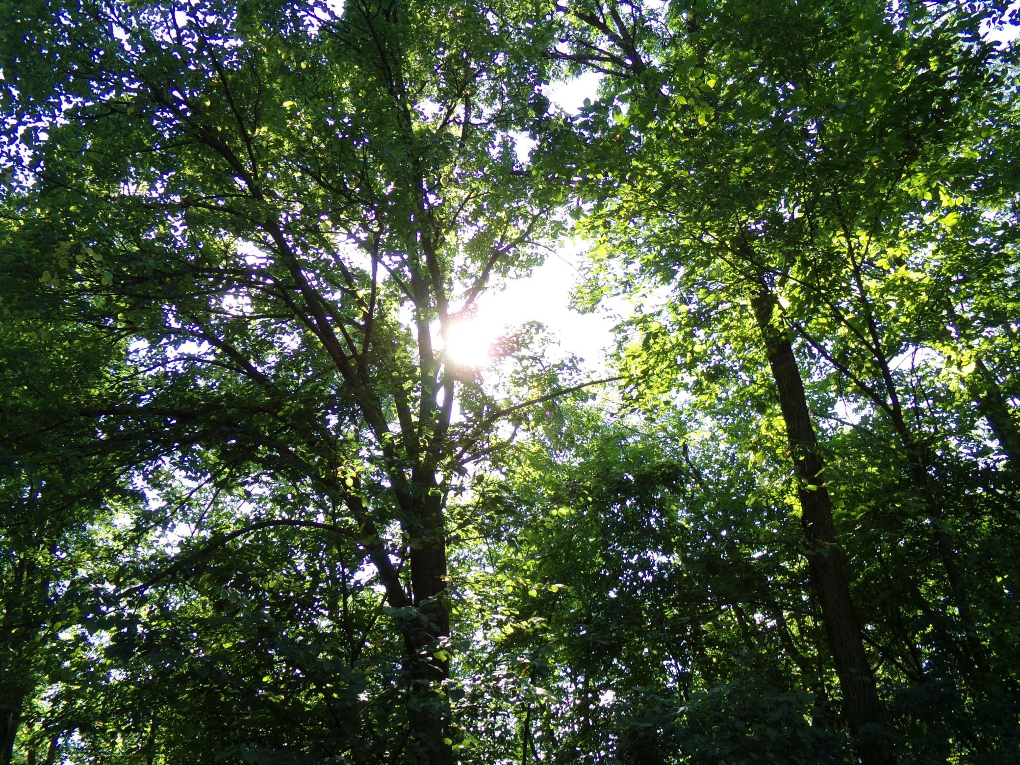 67-xx Old Sawmill Road Harris, MN 55032 - Photo 12 of 15