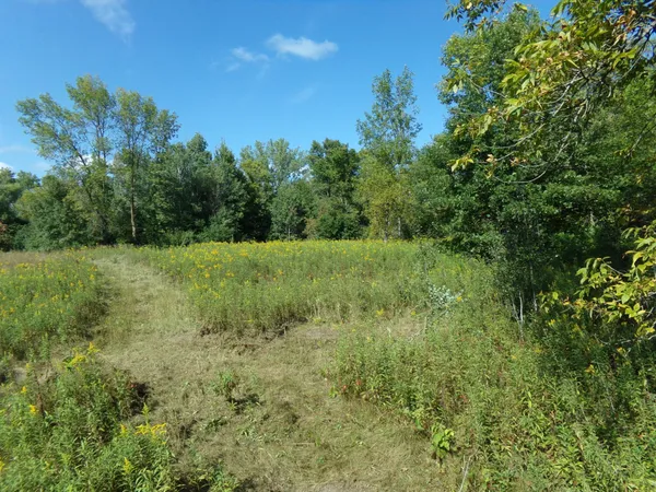 $148,000 | 67-xx Old Sawmill Road, Harris, MN 55032
