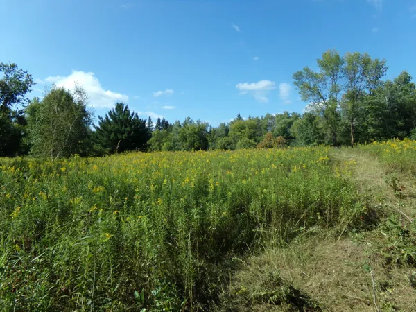 $148,000 | 67-xx Old Sawmill Road, Harris, MN 55032