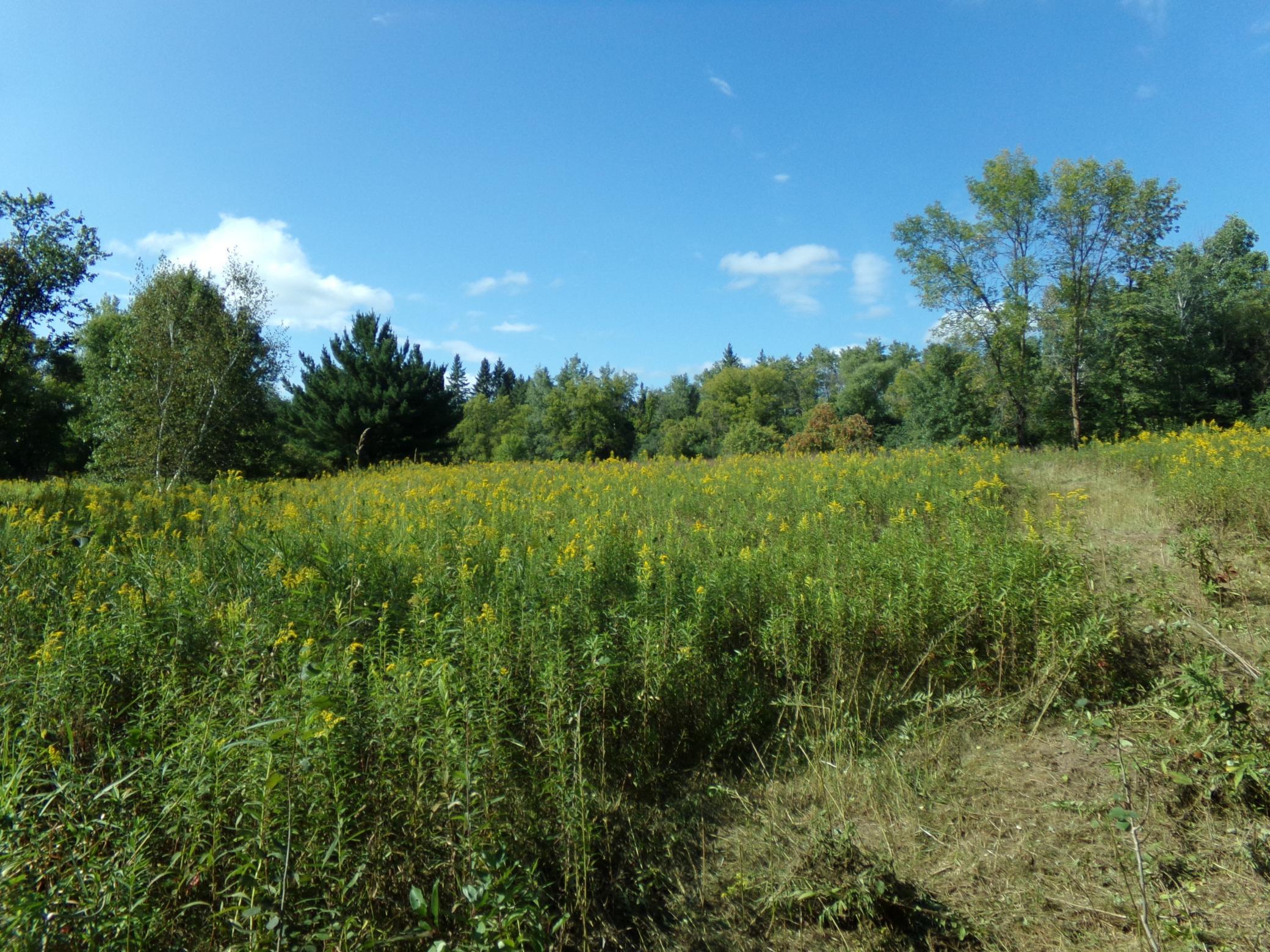 67-xx Old Sawmill Road Harris, MN 55032 - Photo 3 of 15