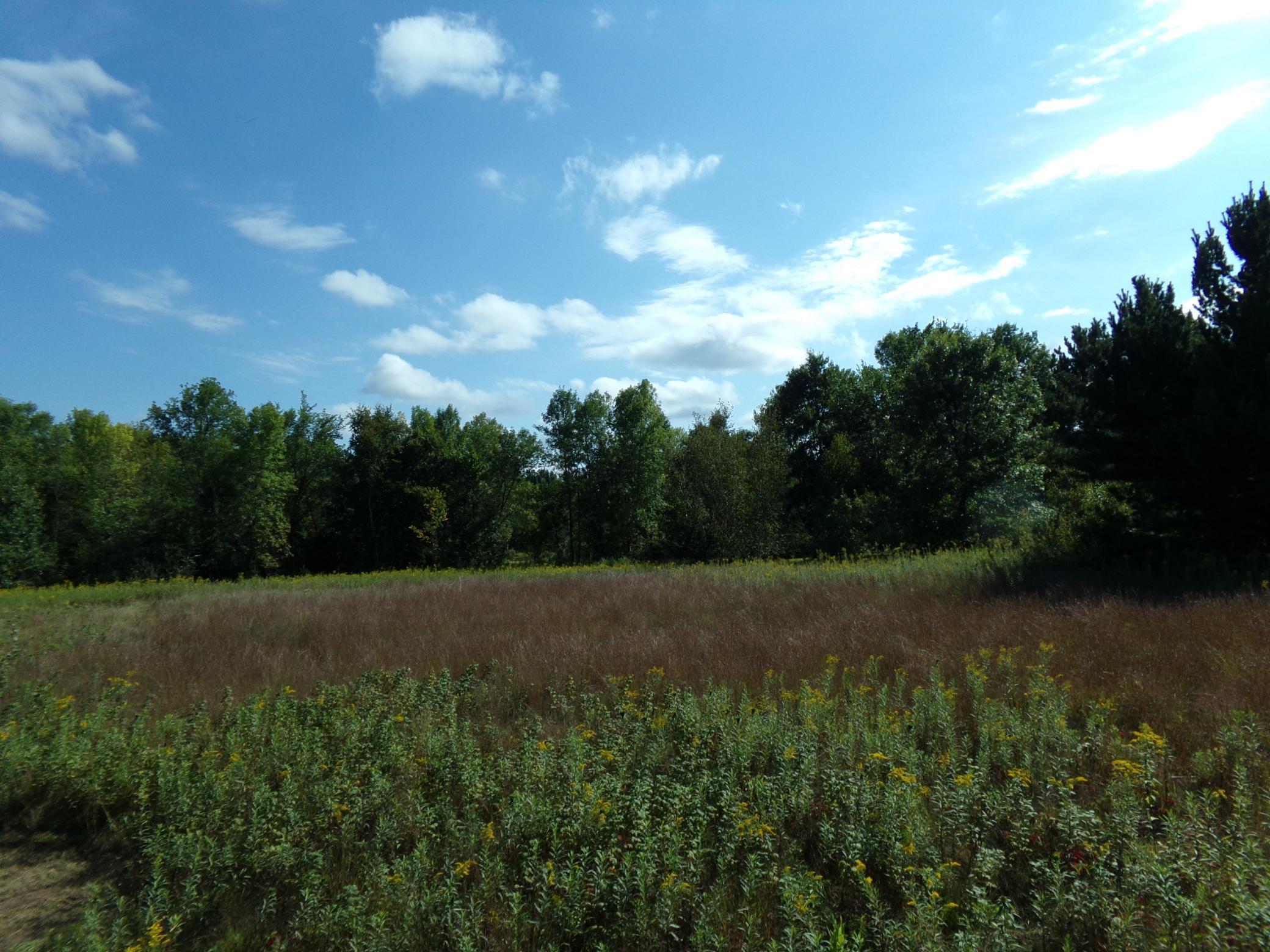 67-xx Old Sawmill Road Harris, MN 55032 - Photo 5 of 15