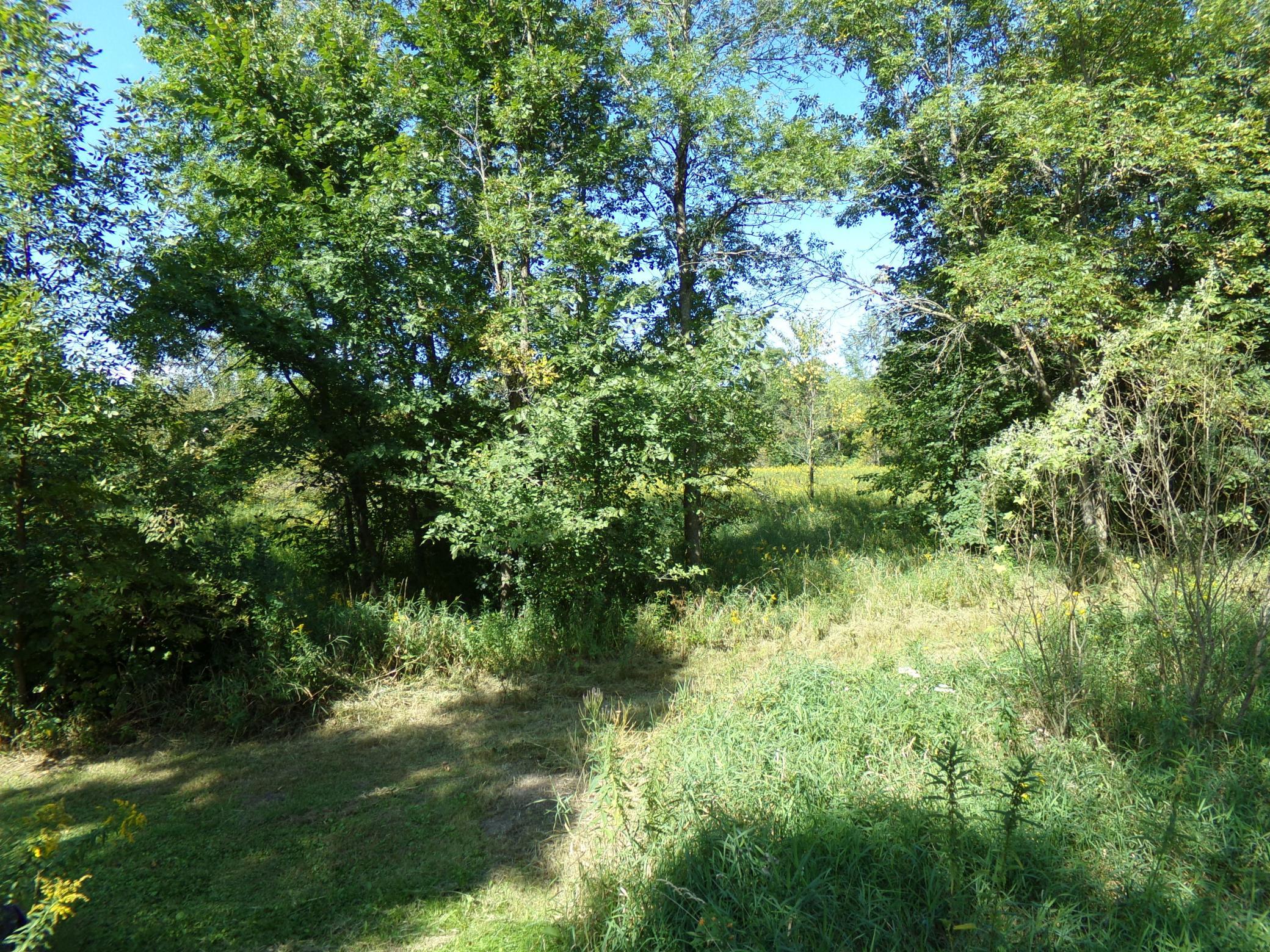 67-xx Old Sawmill Road Harris, MN 55032 - Photo 6 of 15