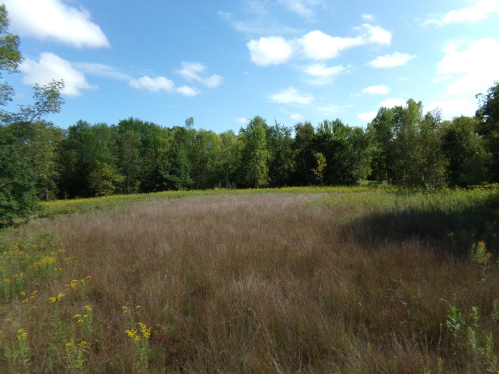 67-xx Old Sawmill Road Harris, MN 55032 - Photo 9 of 15