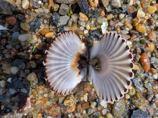 $674,900 | 7 Horseshoe Circle, Sandwich, MA 02563