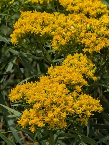 $674,900 | 7 Horseshoe Circle, Sandwich, MA 02563