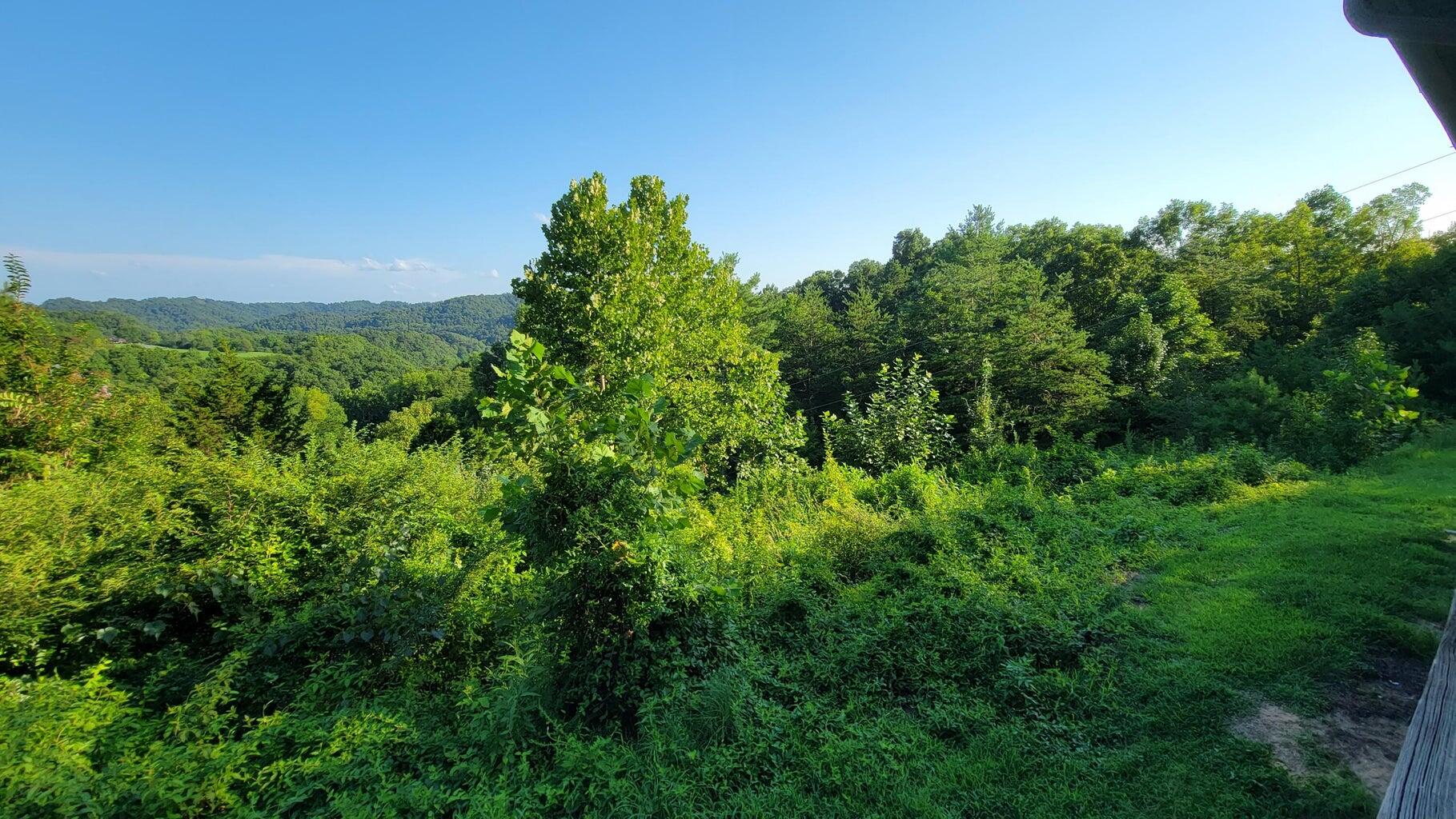 205 Sycamore Ridge Road Manchester, KY 40962 - Photo 10 of 23 Sycamore Ridge 9