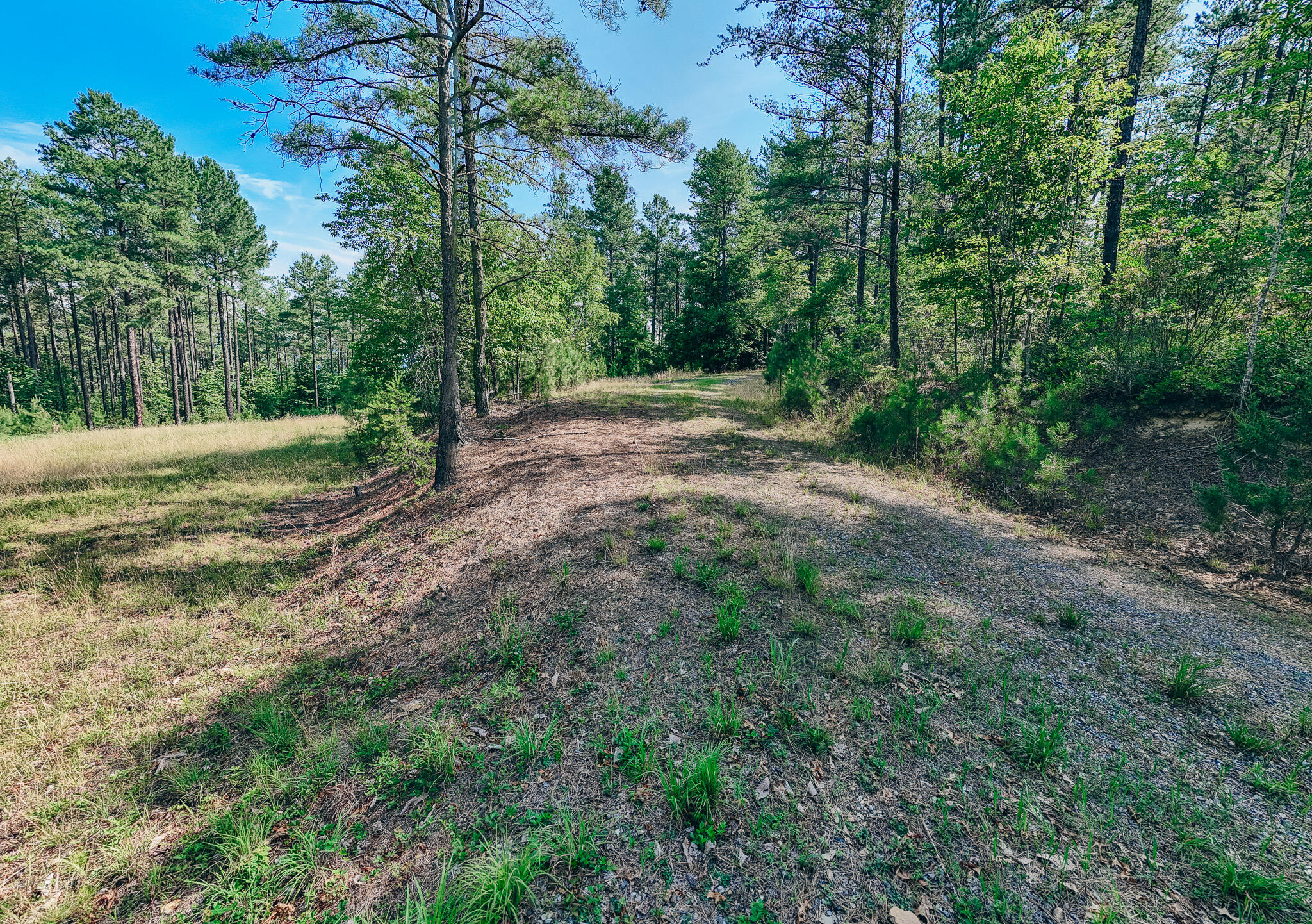 0 Sugar Tree Hollow Road Eagle Rock, VA 24085 - Photo 17 of 18 Miller 25