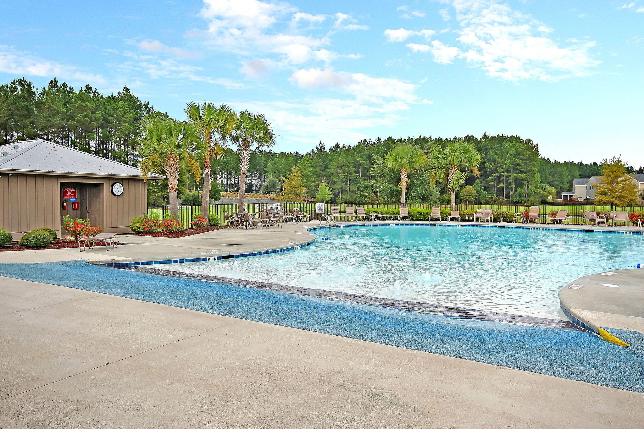 112 Brookhaven Road Summerville, SC 29486 - Photo 43 of 51 IMG_2774 copy