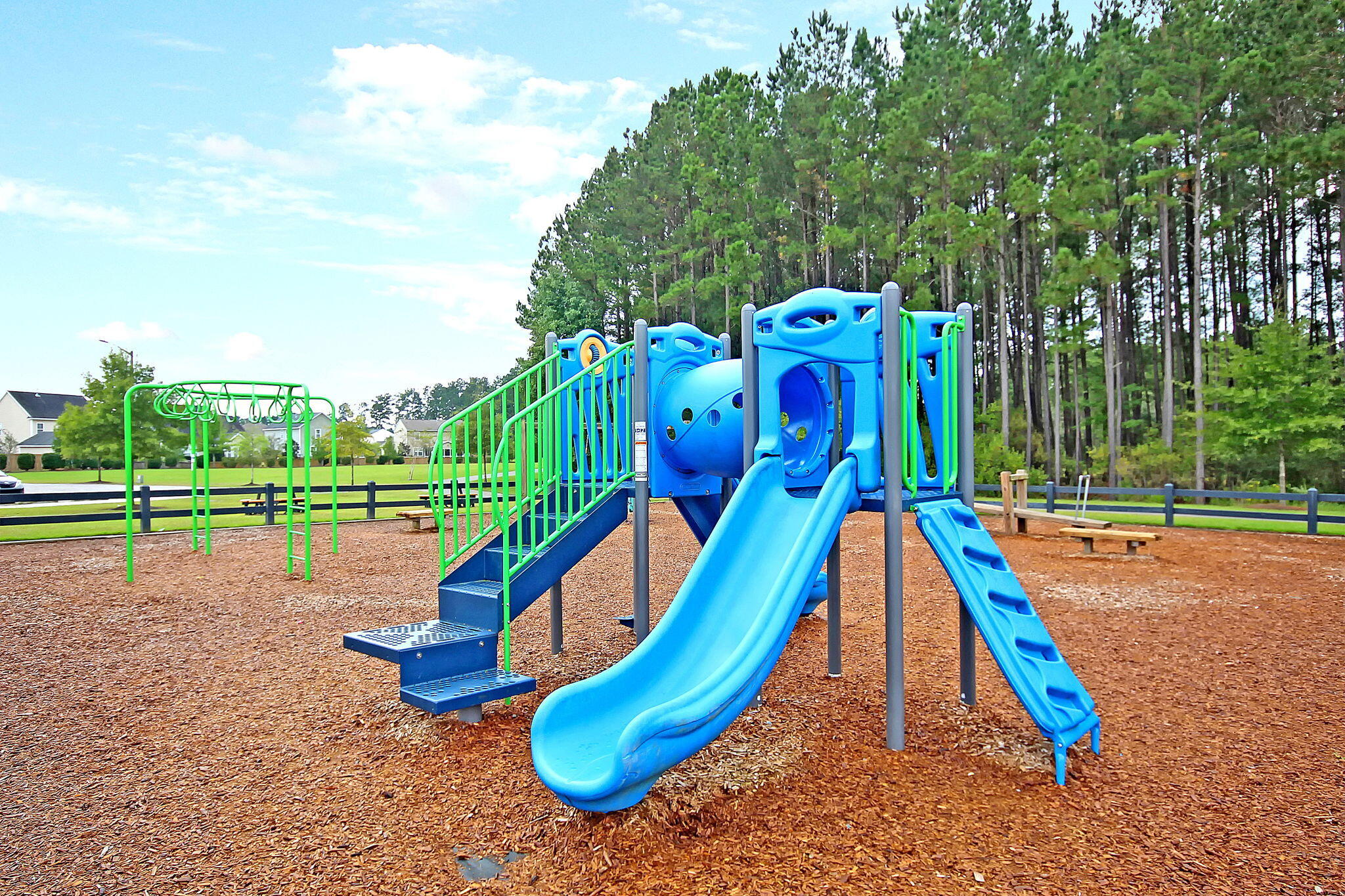 112 Brookhaven Road Summerville, SC 29486 - Photo 50 of 51 IMG_2788 copy