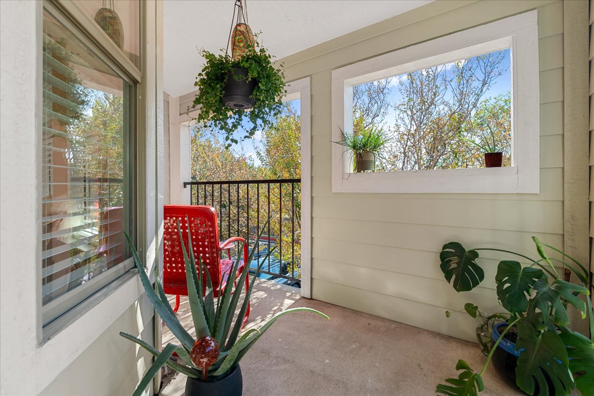 2104 Cullen Avenue, Unit 7204 Austin, TX 78757 - Photo 2 of 40 a view of a potted plant with a window