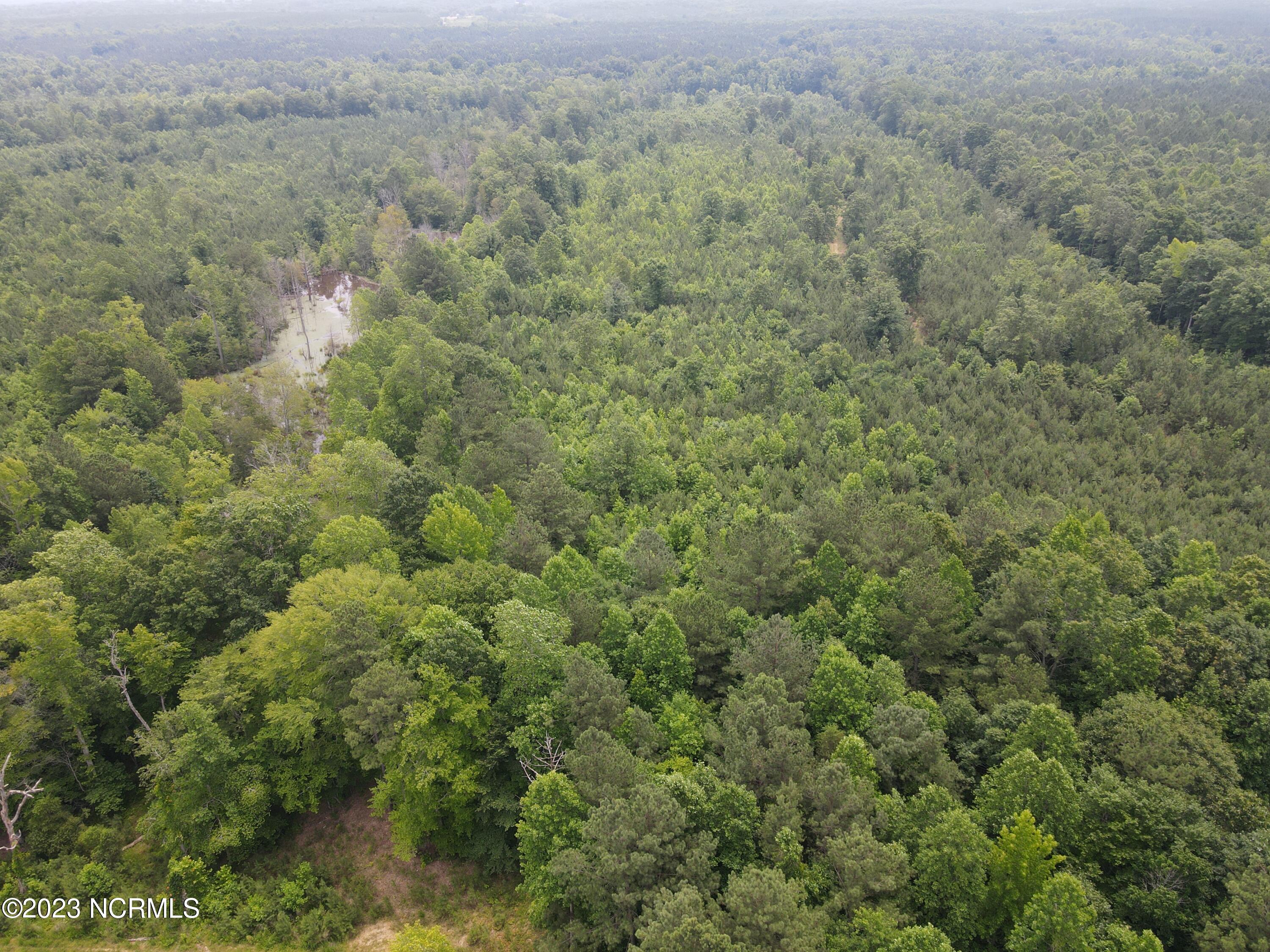 472 Eaton Ferry Road Littleton, NC 27850 - Photo 44 of 86 EFR 29