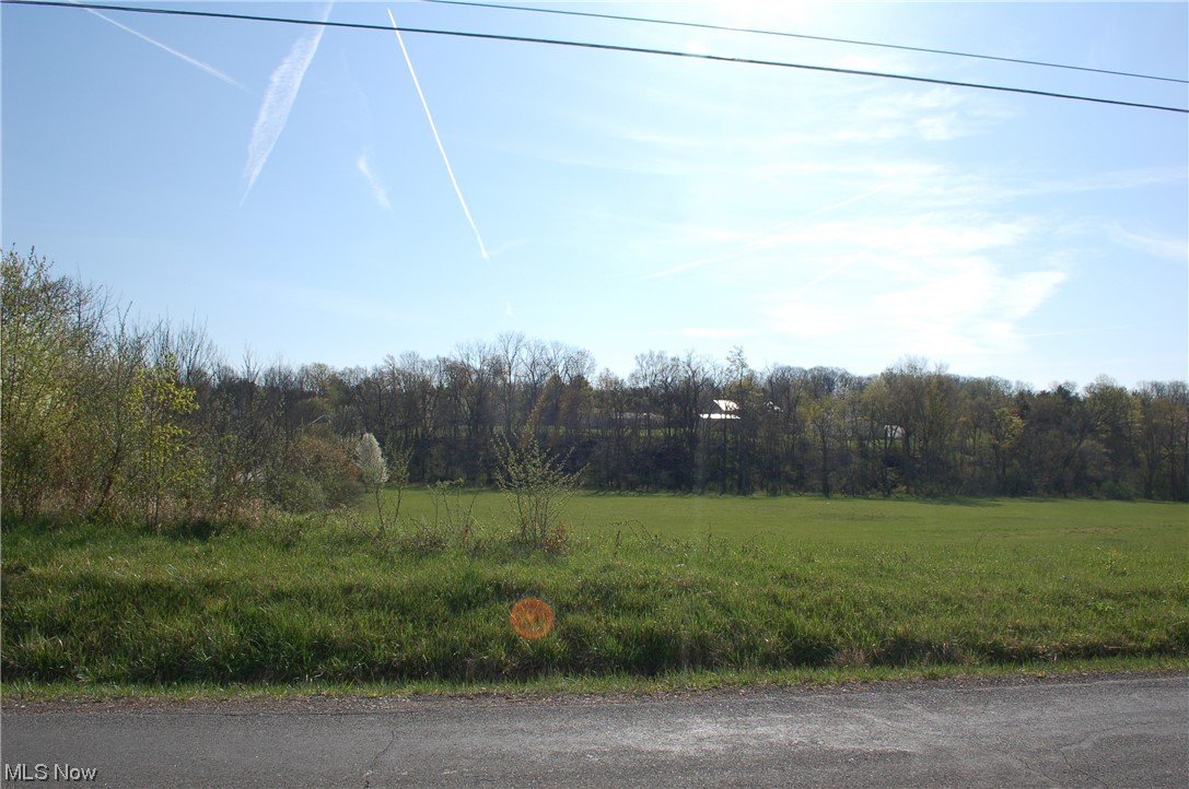 Ryan Road Medina, OH 44256 - Photo 11 of 15 Gallery Image 11